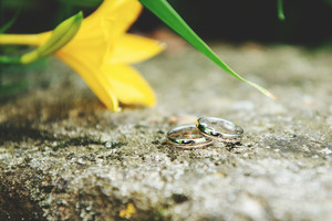 Dominika Colour RW elegantní snubní prsteny v kombinaci červeného a bílého zlat