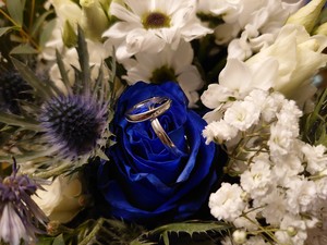 Vanko White snubní prsteny z bílého zlata