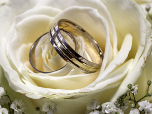 Olympic Colour GW moderní snubní prsteny ze zlata