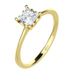 Velara Gold